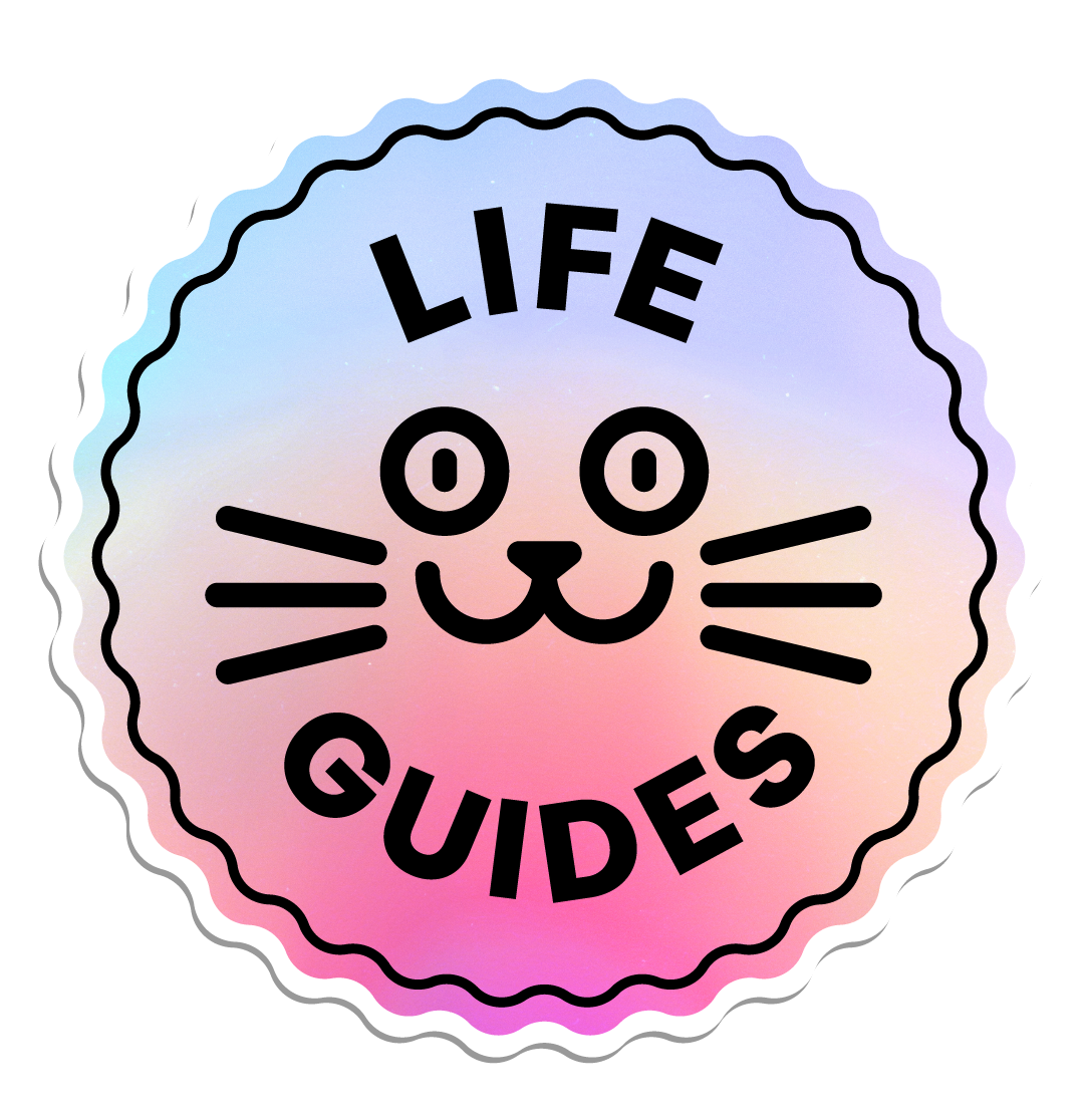 life-guides-archives-the-lick